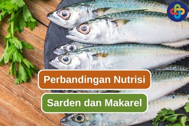 Perbedaan Nutrisi Antara Ikan Sarden Dan Makarel